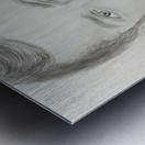Portrait Metal print