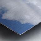 Village View Metal print