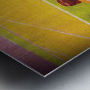 1934 Vintage Football Art  Metal print