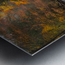 Ricketts Glen in the fall 2 Metal print