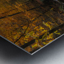 Ricketts Glen in the fall Metal print