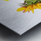 Beautifully Sunflower Metal print