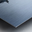 Birds duo Metal print