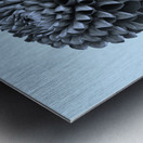 Oh Sweet Dahlia  Metal print