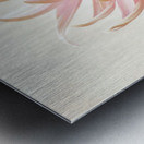 Sweet Blush Metal print