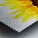 Hello Sunshine  Metal print