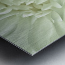 True Love Metal print