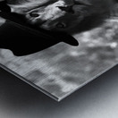 JUST DADDY Lion Gang Metal print