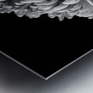 In Full Bloom Metal print