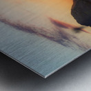 Elk Sunrise Metal print