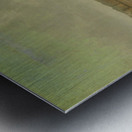 Saint Vincents Metal print