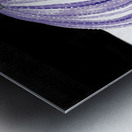 Purple Urchin Metal print