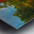 Fiery Maple Metal print