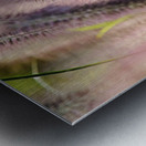 Summer Breeze Metal print