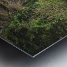 West Fork Bridge Metal print