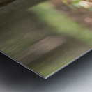 Abandon Metal print