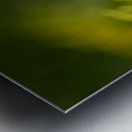 Jaune Metal print