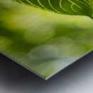 Vert vert Metal print