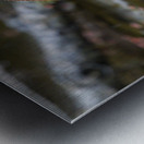 Le mandarin Metal print