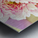 Celebration Metal print