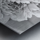 Celebration 2 Metal print