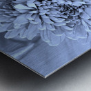 Devotion Metal print