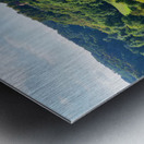 German Vineyard Metal print