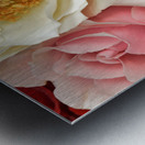 Bountiful Love Metal print