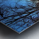 Springside Park Trail - Napanee Metal print