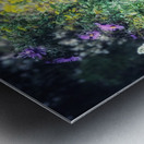 Bouquet Haze Metal print