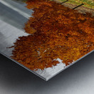 Fall Colours Metal print