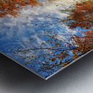 Fall Trail Metal print