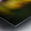 Purple Flower Haze Metal print