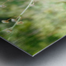 Wasp on Flower Metal print