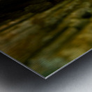 Gem   FINAL JPG Metal print