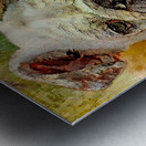 Portrait Of An English Bulldog Metal print