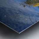 Magical Fall Colors Metal print