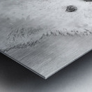 American Eskimo Spitz Metal print