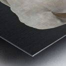 MaleTorso Metal print