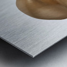 GoldenNude1 Metal print