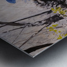 THE WISH POND Metal print