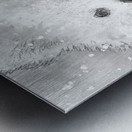  American Eskimo Snow Baby Metal print