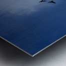 Night Mood Metal print