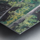 AFRICAN FOREST Metal print