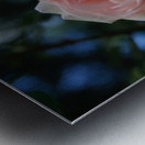 Pink Promise Metal print
