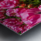 Spring Tulips After the Rain Long Exposure 10 of 16 Keukenhof Netherlands Metal print