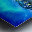 Northern Lights Metal print