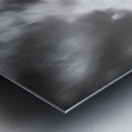 Rise High Metal print