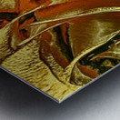 Just Golden Metal print
