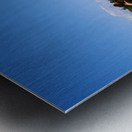 A man in the mountain Metal print